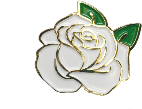 White Rose Pin - Rose Pin Transparent (600x525), Png Download
