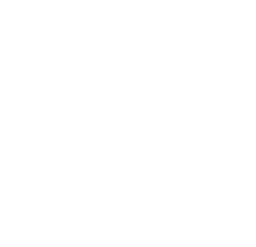 Paper Flowers Australia - Wordpress Logo White Png (800x640), Png Download