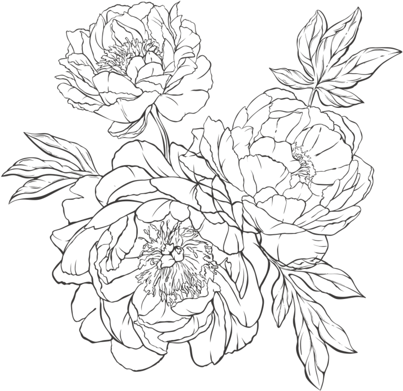 To Handing Out Paper Flowers I Hand Crafted For My - Drawing (800x800), Png Download