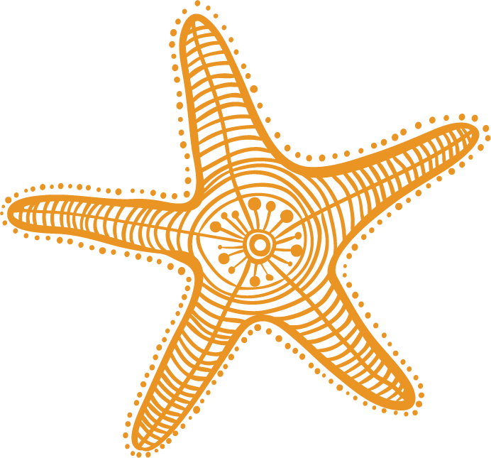 Starfish Drawing Cartoon Clip Art - Estrellas De Mar Dibujo (692x645), Png Download