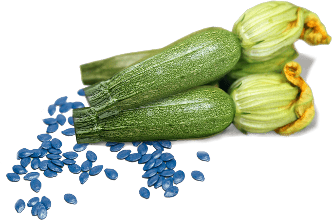 Zucchini Flowers For Sale - Zucchini (700x720), Png Download