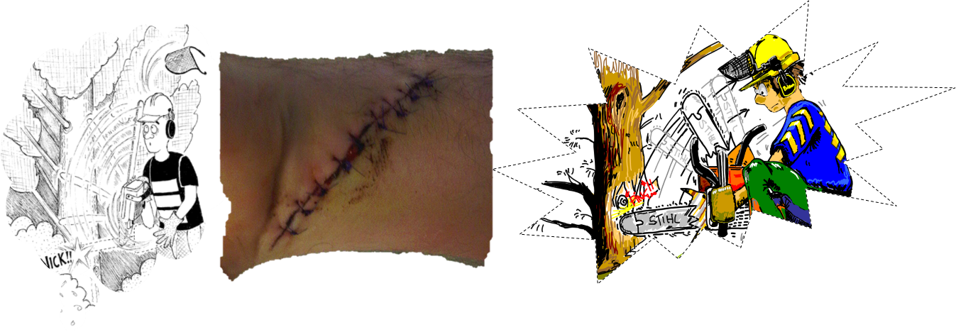 Background To Noggin Inc570 22/11/17 A Tree Feller - Illustration (1347x468), Png Download