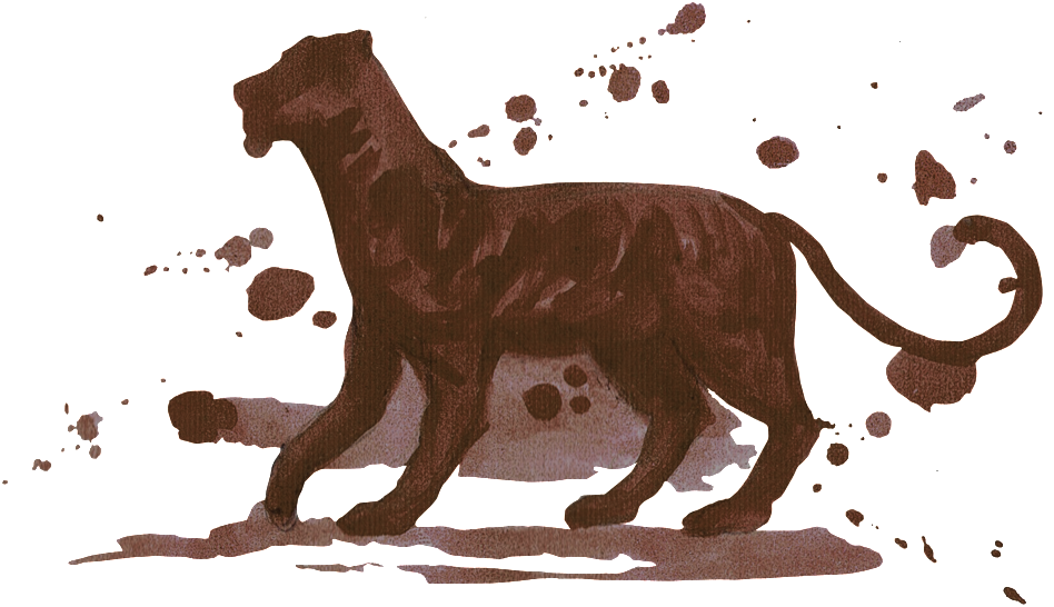 Hand Painted Ink Tiger Decorative Pattern Image - Drawing (1024x712), Png Download