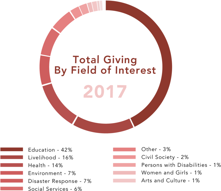 Give2asia Bythenumbers Graphics 2017by Field Interest - Anshan (1000x882), Png Download