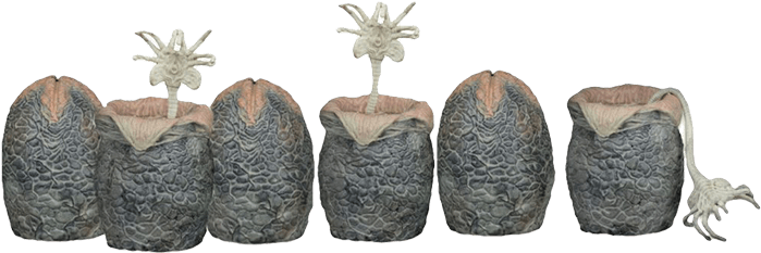 Aliens Xenomorph Egg Glow In The Dark 6 Pack In Collectible - Alien - Egg Carton (glow In The Dark) (709x709), Png Download