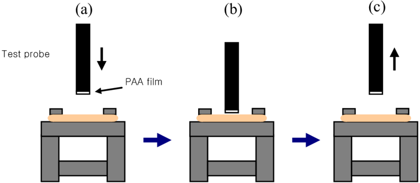 Process Of The Mucoadhesive Test By The Texture Analyzer - Mucoadhesion (850x372), Png Download