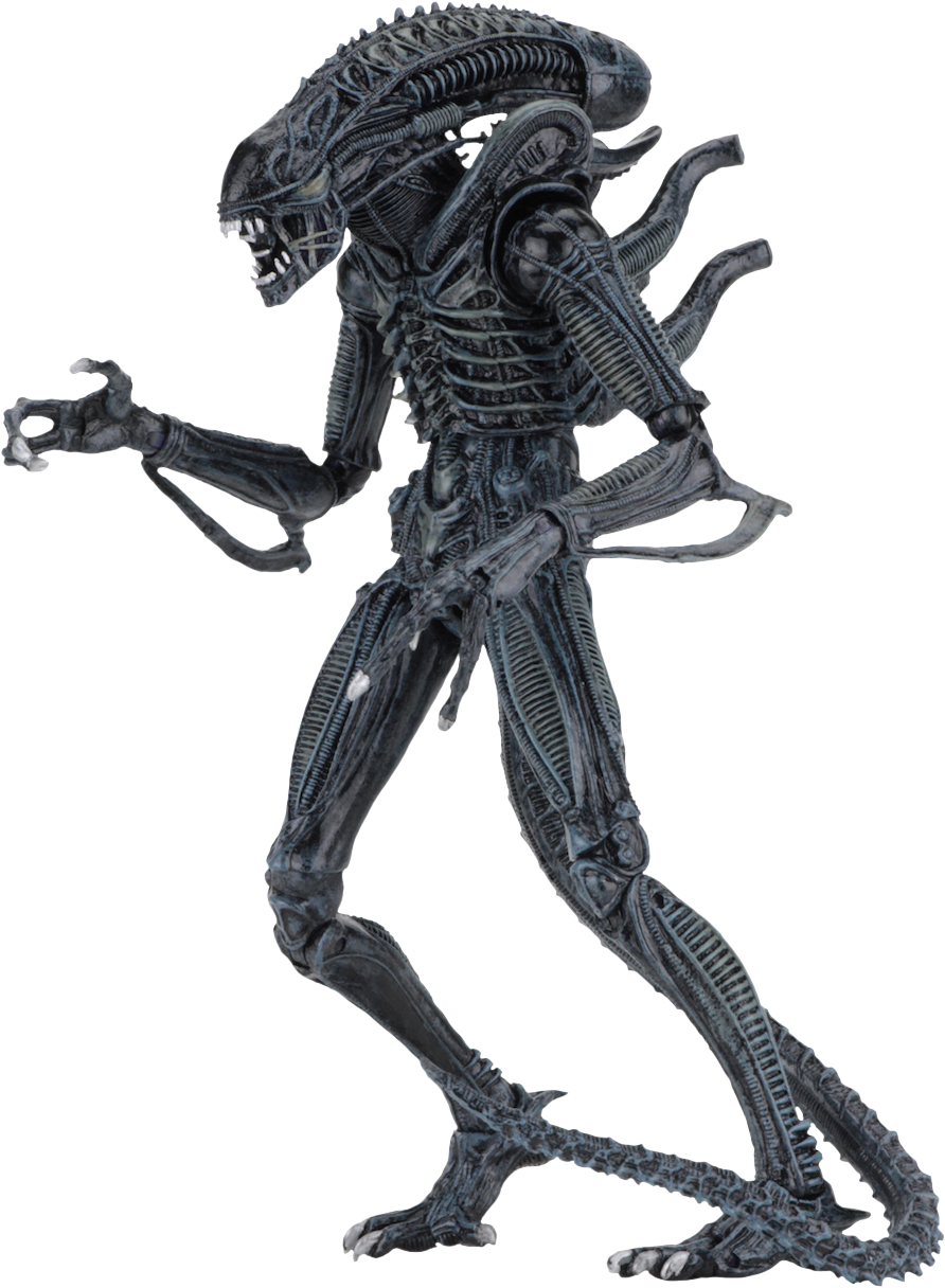 Alien Warrior 7” Ultimate Action Figure Assortment - Aliens Figure (892x1216), Png Download