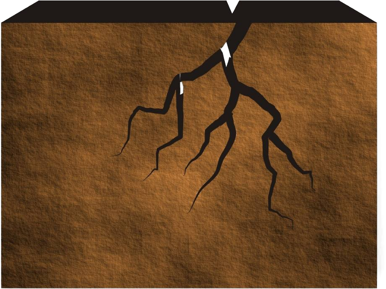 Png Download Adobe Illustrator Cracked Stone Png Transprent - Plywood (985x724), Png Download