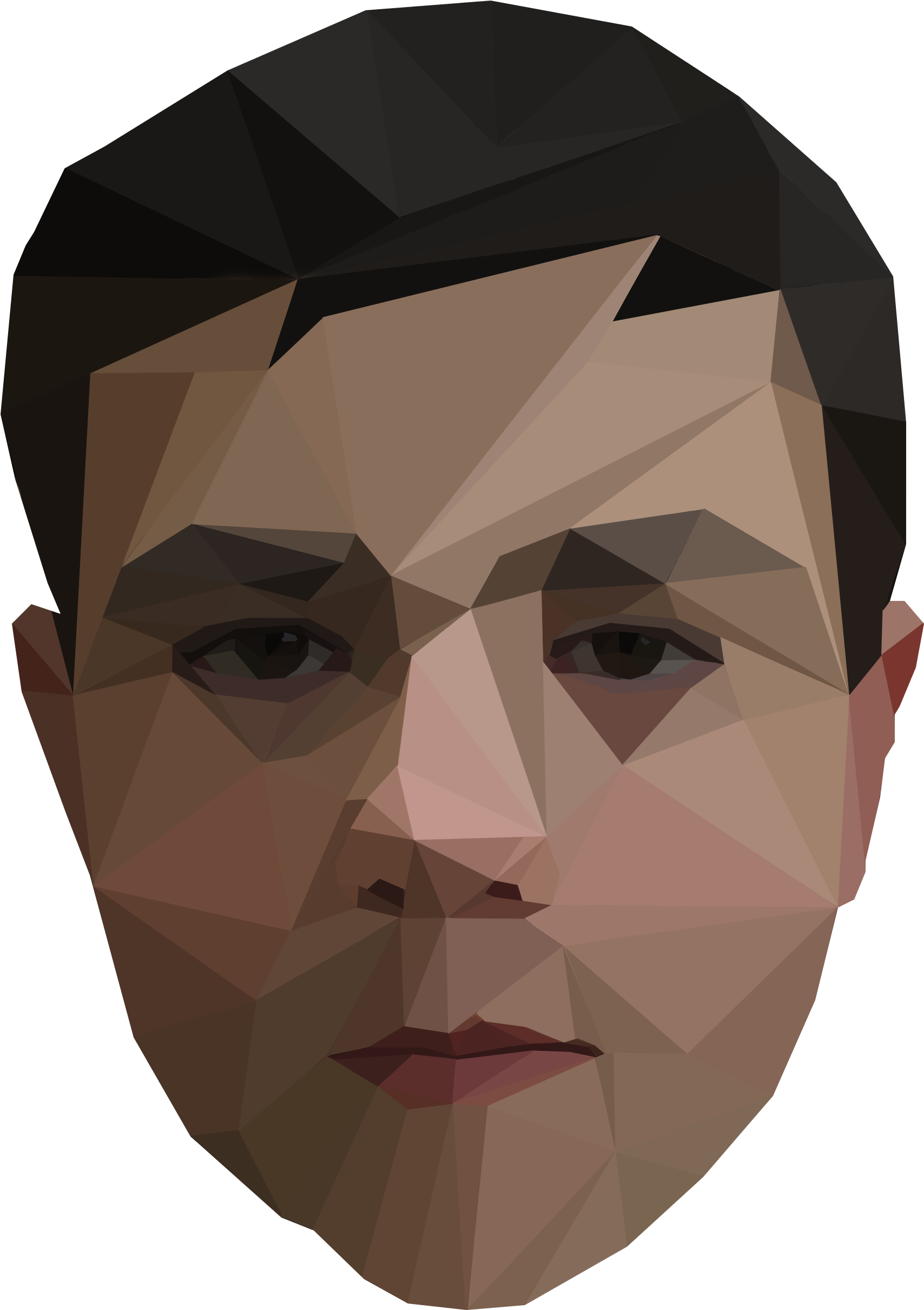 Joe Low Poly - Illustration (4608x2592), Png Download