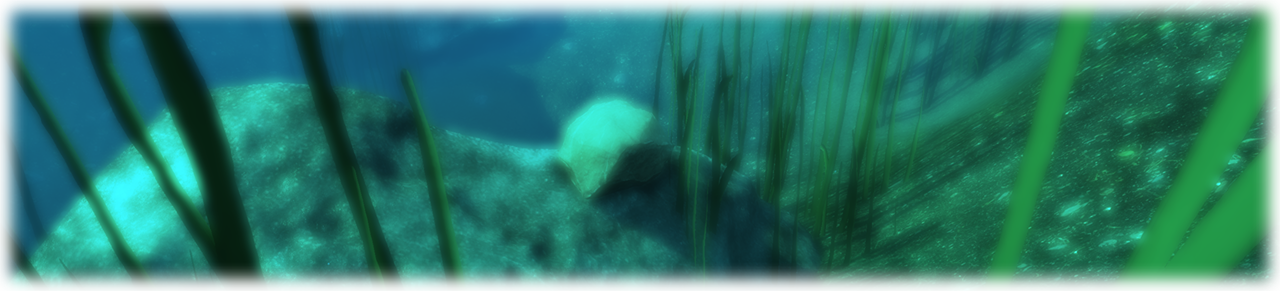 The Glass Fragments Can Then Be Crafted Down In The - Underwater (1280x291), Png Download