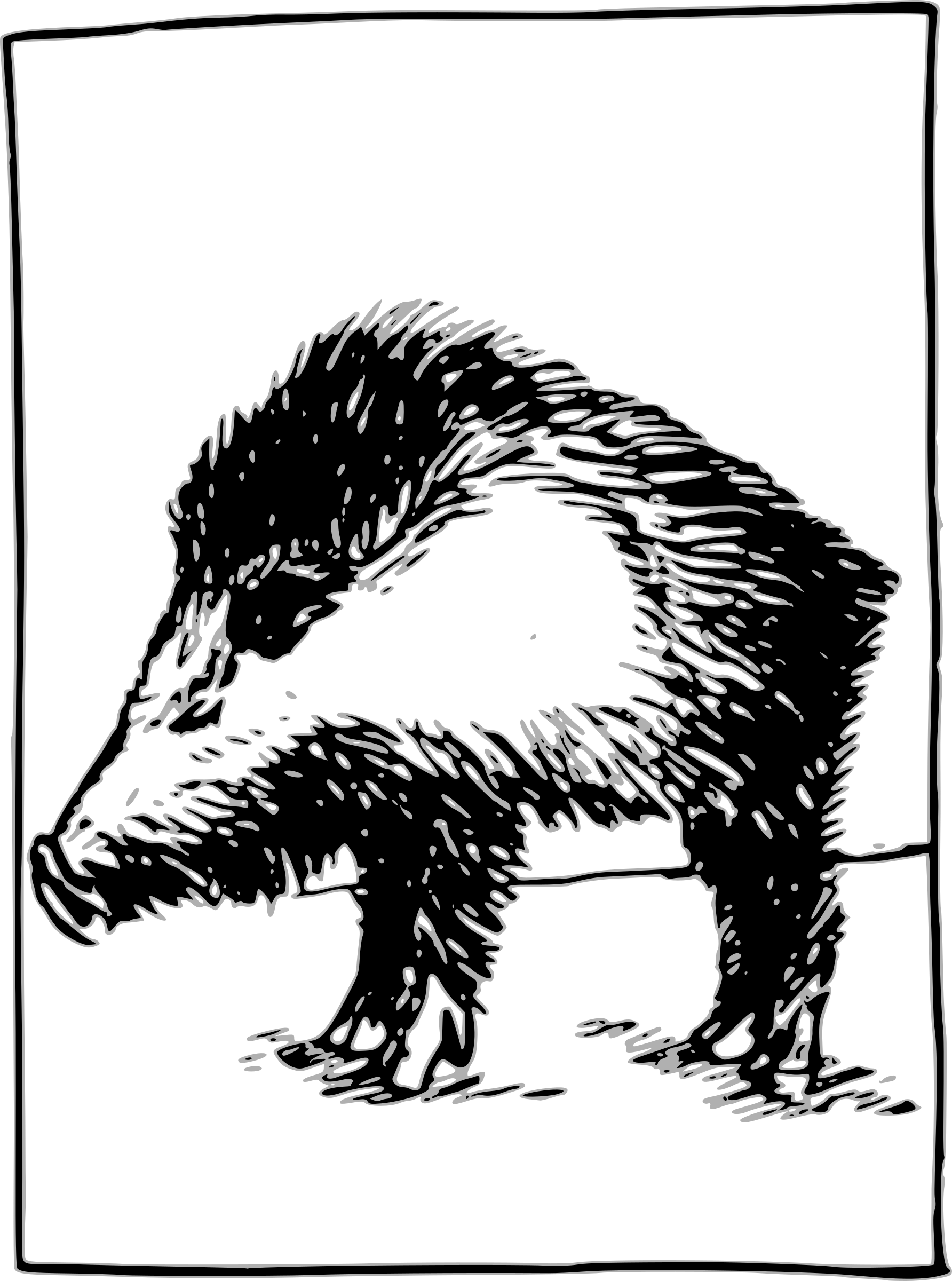 Year Of The Boar - Punxsutawney Phil (595x800), Png Download