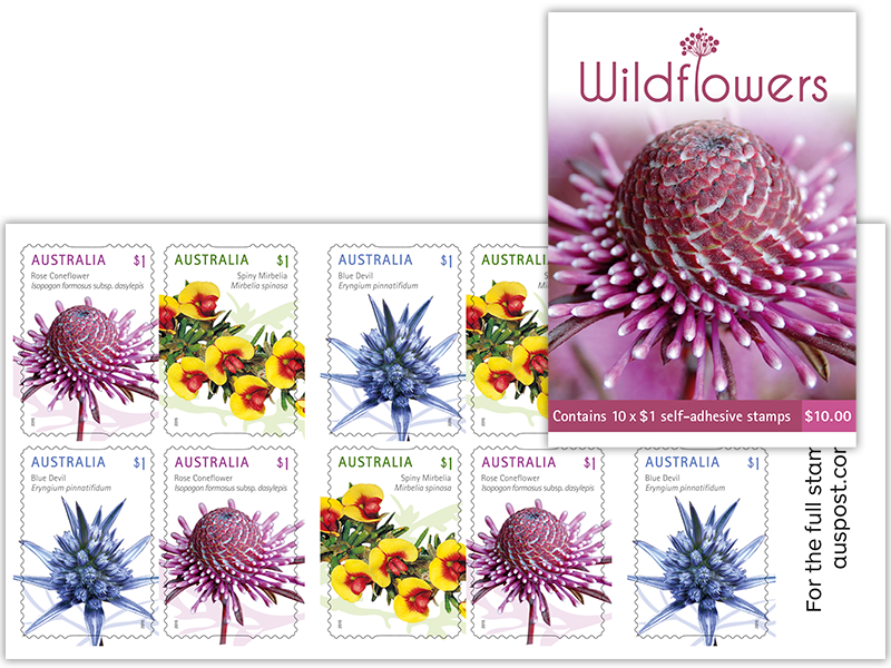 Booklet Of 10 Stamps (800x600), Png Download