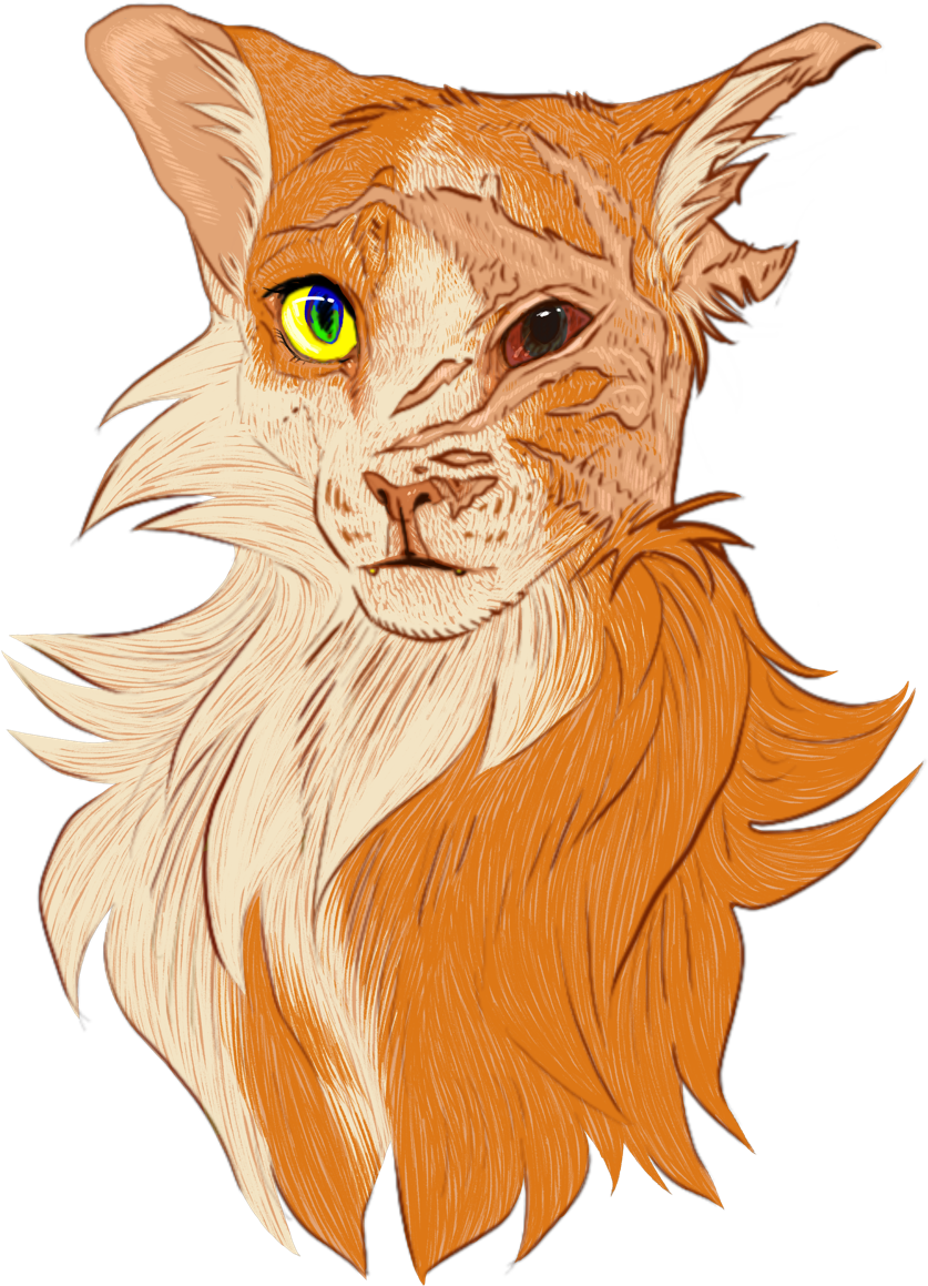 Tumblr (904x1280), Png Download