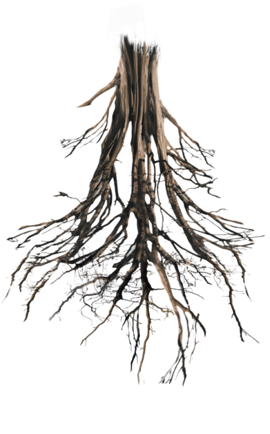 Floating Island, Tree Roots, Peaches, Photoshop, Peach - Tree Roots (1006x794), Png Download
