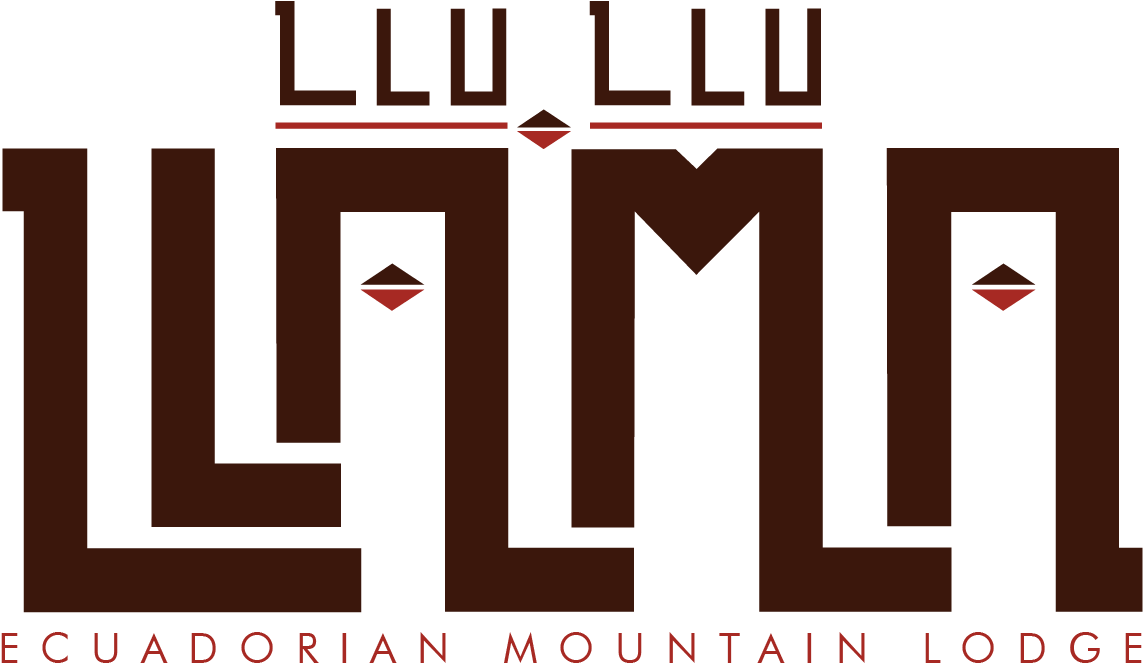 Llu Llu Llama (1167x672), Png Download