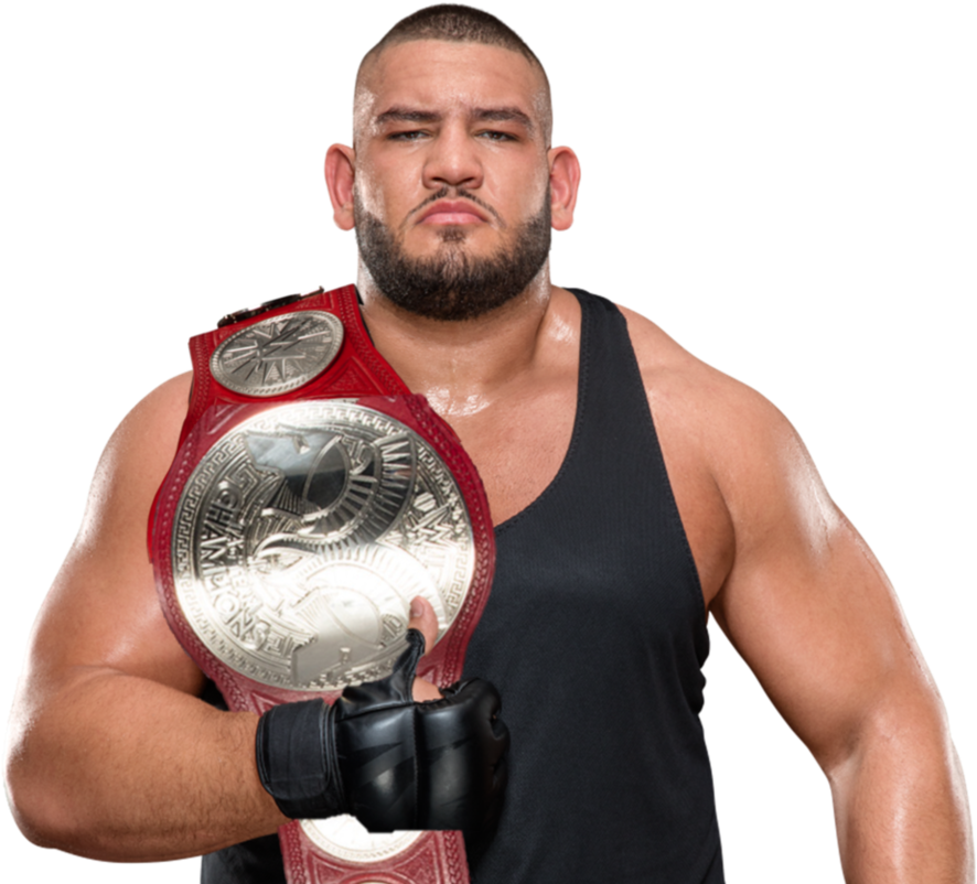 Next - Wwe The Aop Raw Tag Team Champions (982x814), Png Download