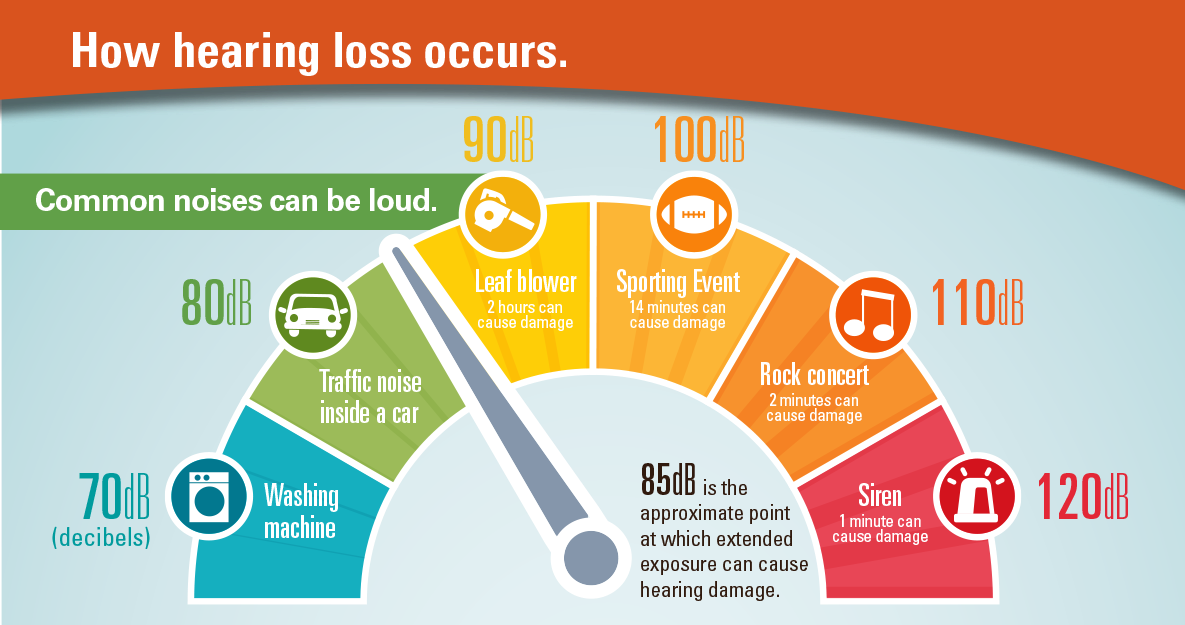 How Loud Is Too Loud - Hearing Damage (1185x625), Png Download