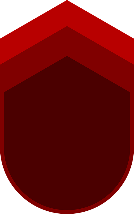 Badge, Graphic, Military, Emblem, Icon, Background - Circle (450x720), Png Download