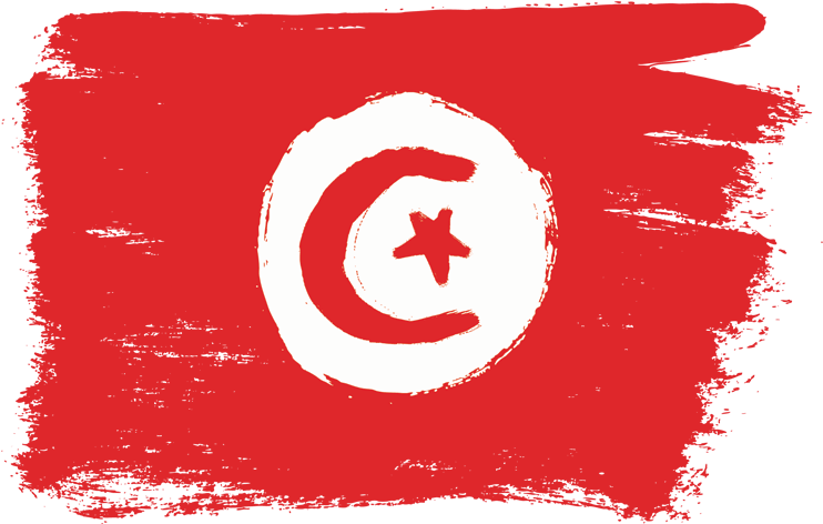Wish Fm - Flag Tunisia In England (920x518), Png Download