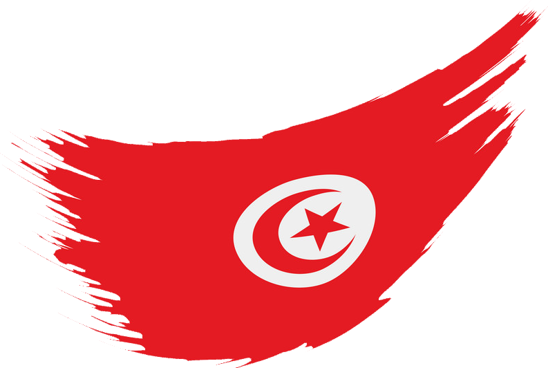 Permission To Drive A Car In Tunisia Download Consular - Tunisian Flag (793x532), Png Download