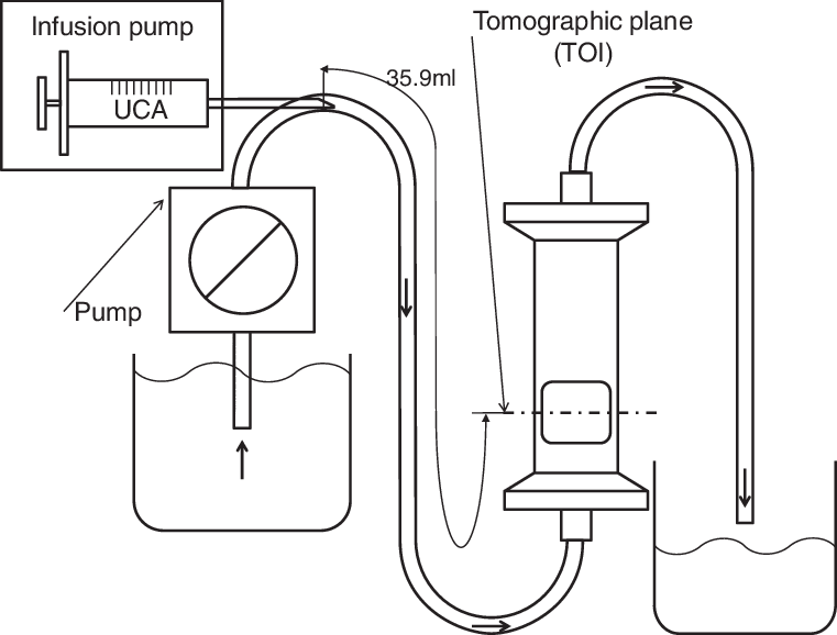 Phantom For Model Validation, And The Model Volume - Diagram (761x578), Png Download
