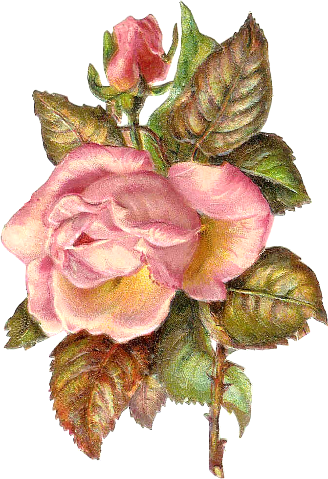 This Is An Antique Frame Illustration From An Antique (802x1132), Png Download