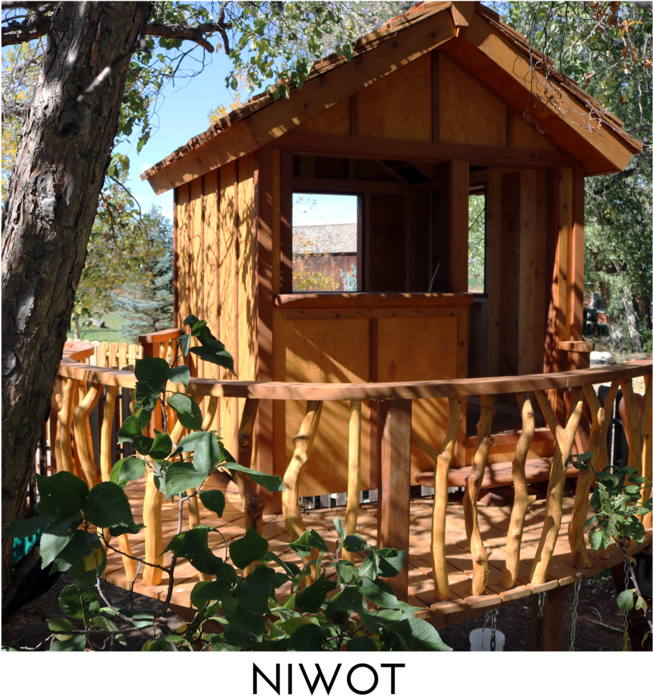 Niwot Square Title - Tree House (1000x1000), Png Download
