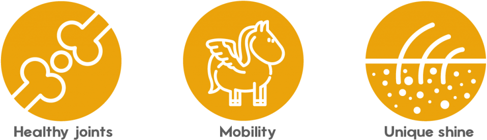 Read More - - Graphic Design (1024x318), Png Download