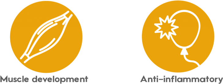 Products - Graphic Design (1024x318), Png Download