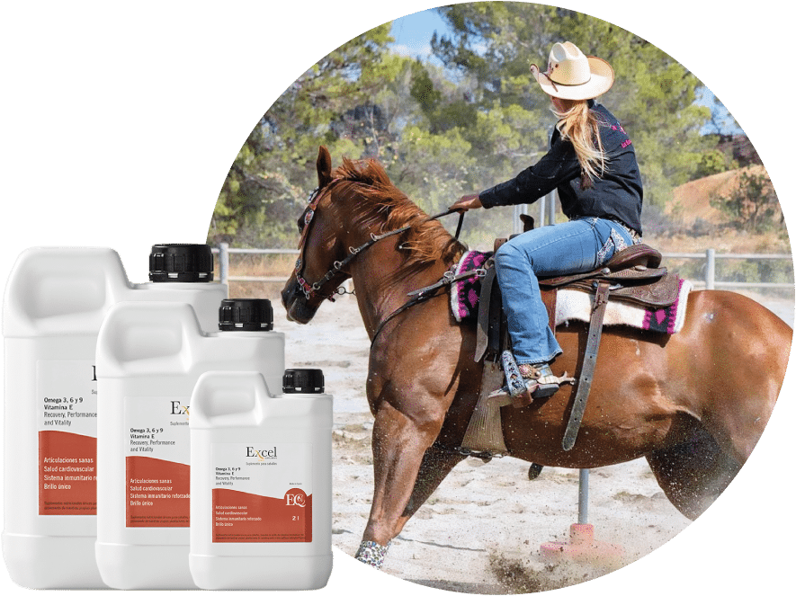 Excel Eq - Equestrianism (1000x707), Png Download