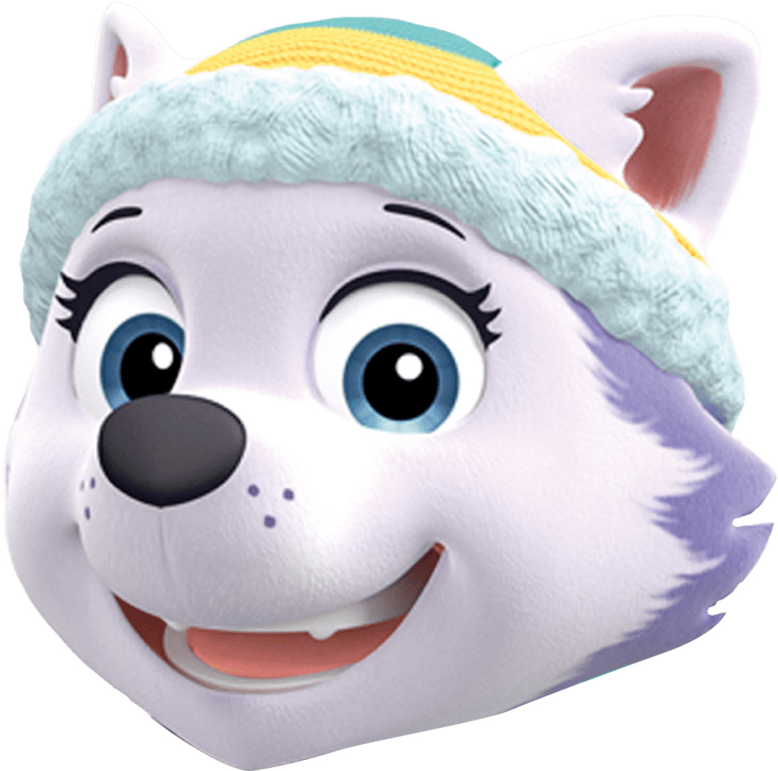 paw patrol everest in a coma
