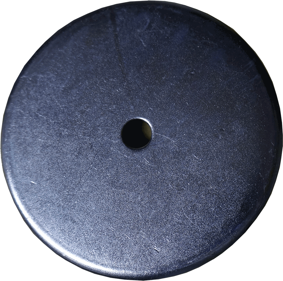 Magnet - Florida Crotchwood (1000x1000), Png Download