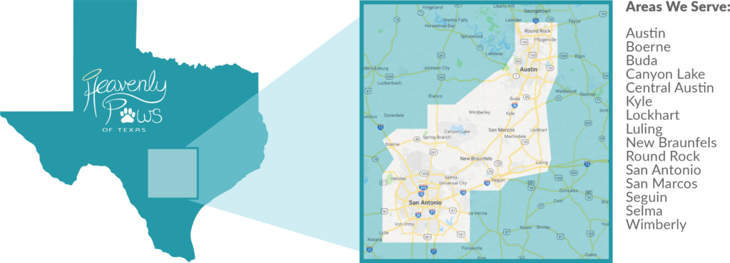 Service Area - Fan Creations Ncaa Wall Decor Ncaa Team: Baylor (1024x370), Png Download