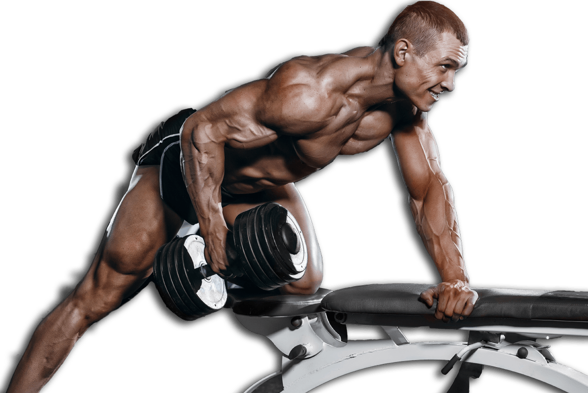Couple Essentials - Bodybuilding (1200x802), Png Download
