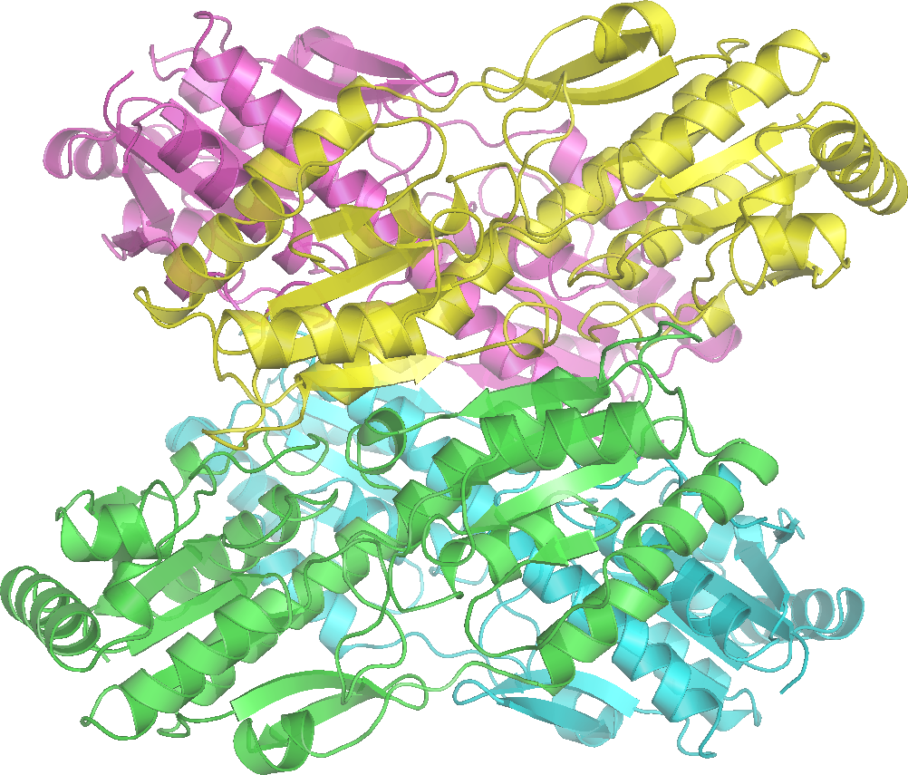Phosphofructokinase 1 (1002x855), Png Download
