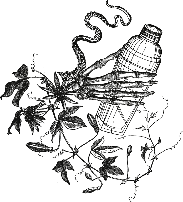 Skull Eyeball Van Shaker Dragonfly - Portable Network Graphics (696x771), Png Download