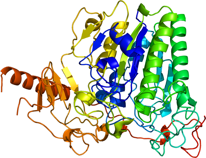 Arsa Gene (918x716), Png Download