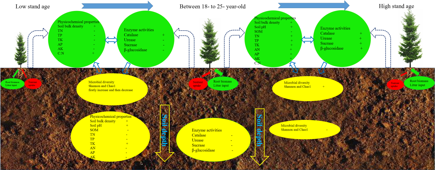 Graphical Abstract - Abstract (1386x549), Png Download