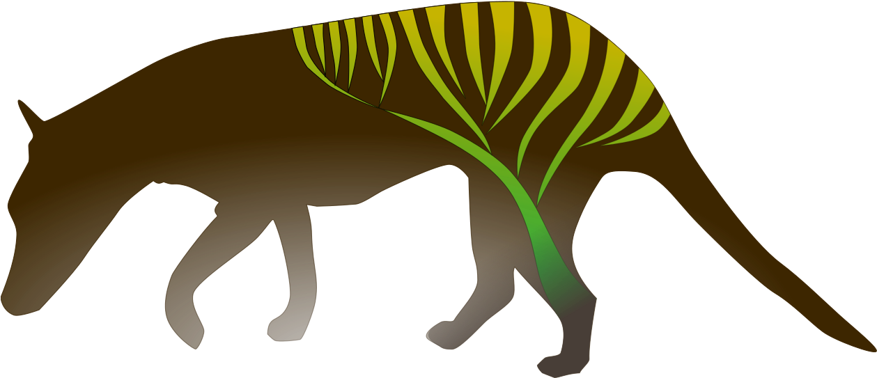 Michael Charleston And The Rest Of The Theoretical - Kangaroo (1305x677), Png Download