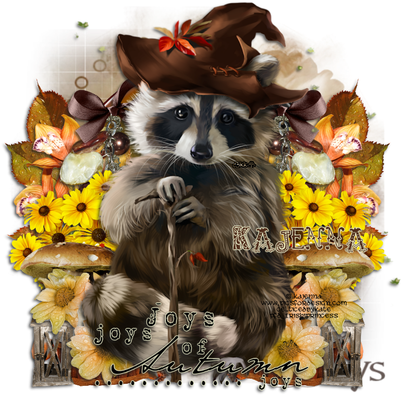 Racoon Ptu Tut (800x800), Png Download