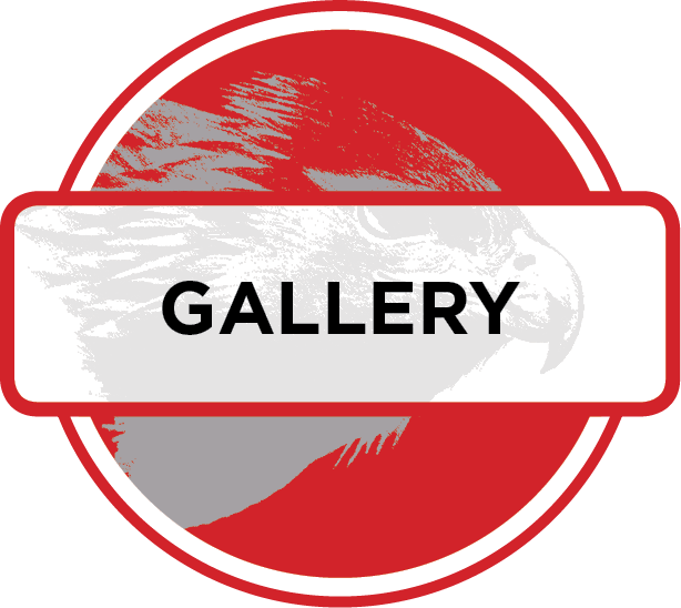 Icon Gallery - Gallery Red Icon Png (614x548), Png Download