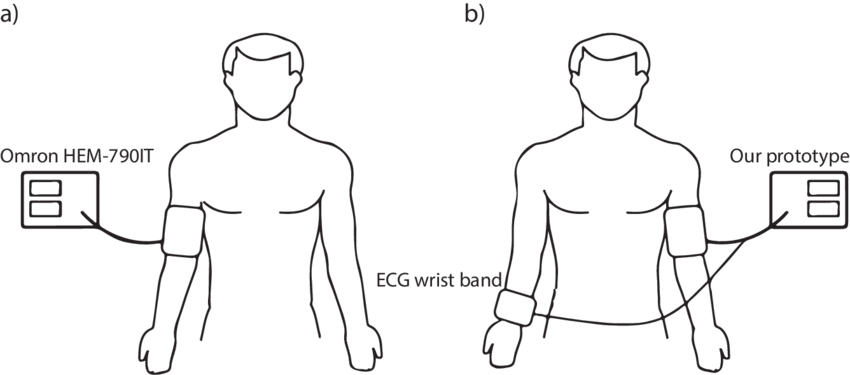 Illustration Of The Data Recording Method Used To Collect - Barechested (850x375), Png Download