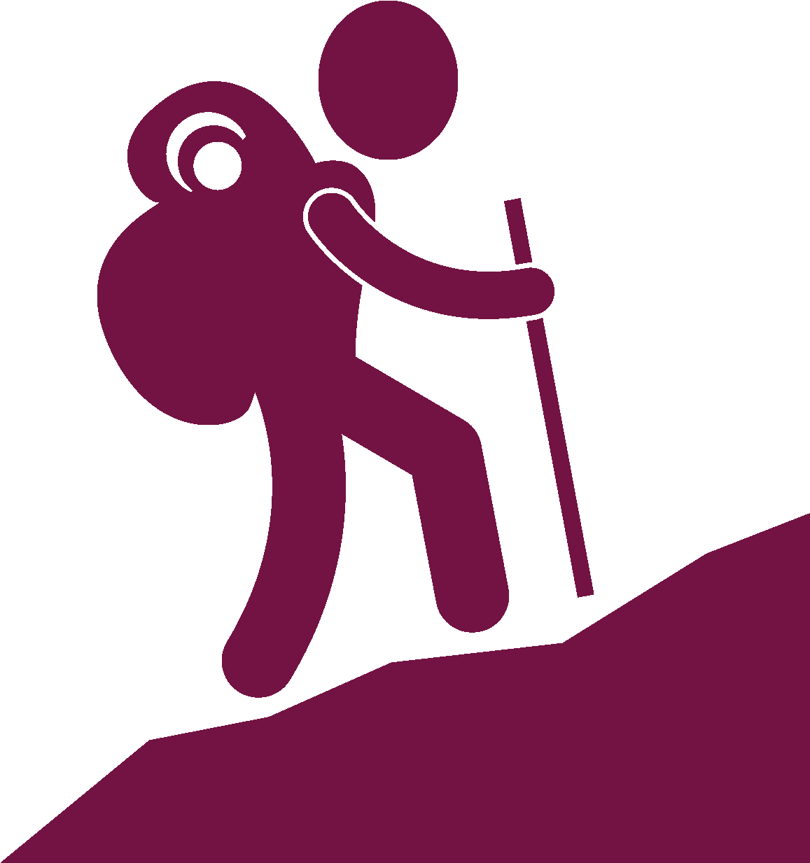 A Journey Through Romania & Hungary Luxury Tour Accommodations - Backpack (1163x1260), Png Download