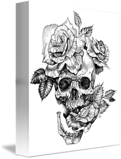 "ink Skull And Roses" By Sarah Wilson Www - Black And White Skull Drawing (494x650), Png Download