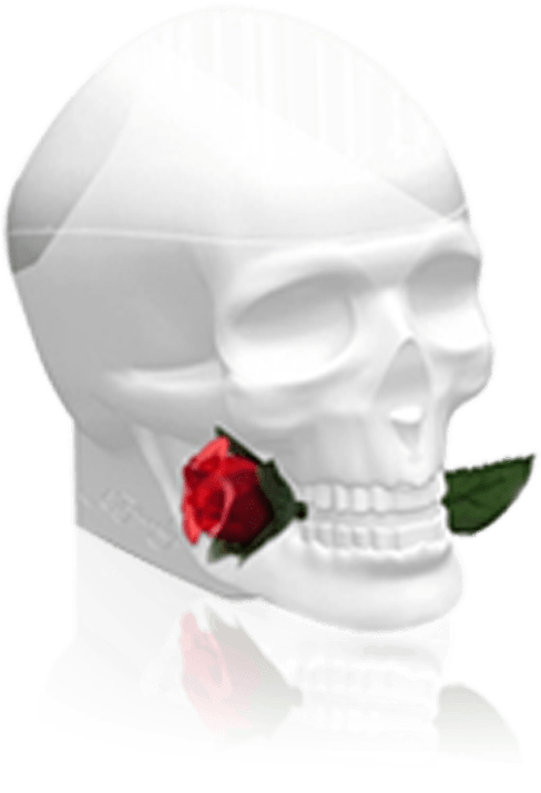 Ed Hardy Skull And Roses - Christian Audigier Ed Hardy Skulls & Roses (1000x1000), Png Download