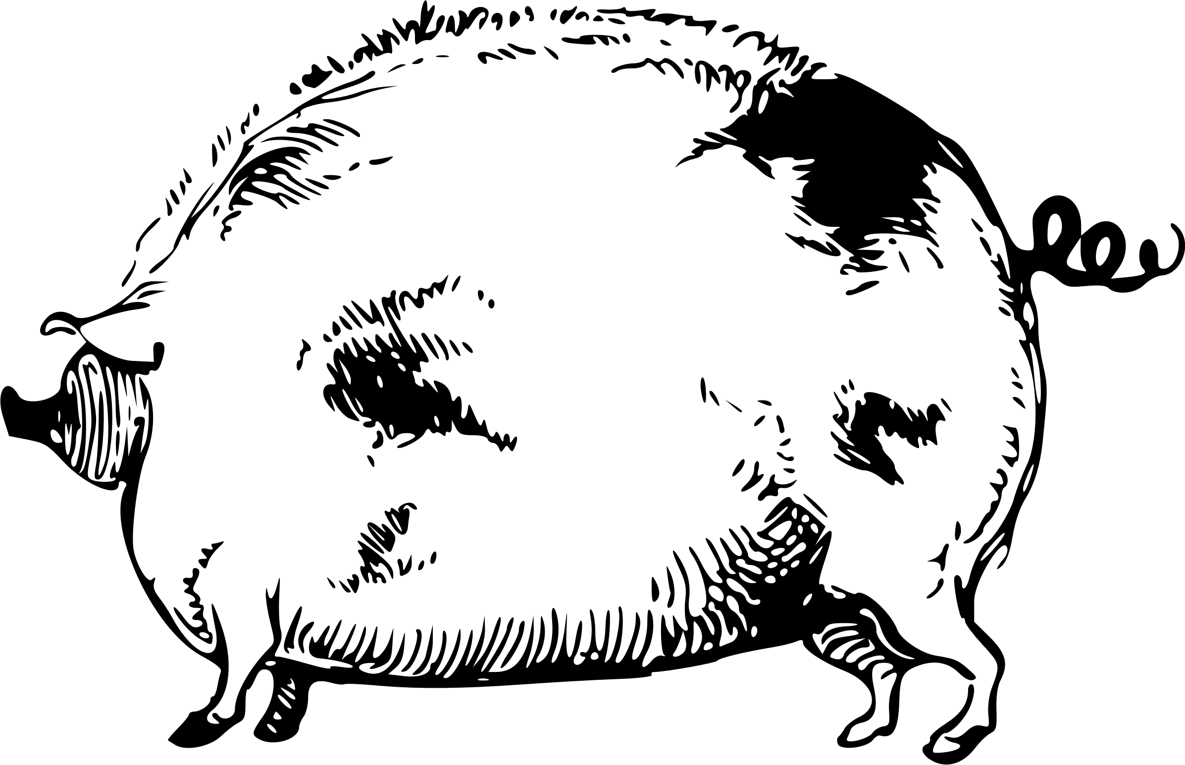 This Free Icons Png Design Of Freaky Pig (2393x1545), Png Download