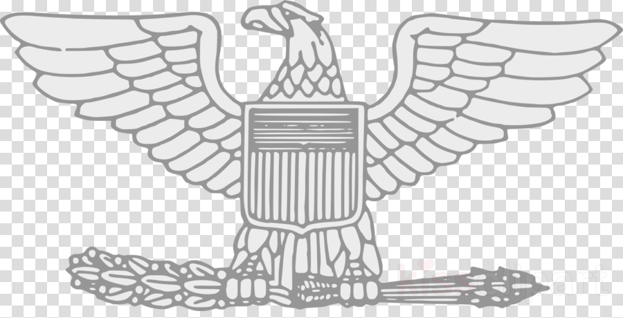 Lvl 50 Cod Ww2 Clipart Military Rank World War Ii Army - Colonel Insignia Army (900x460), Png Download