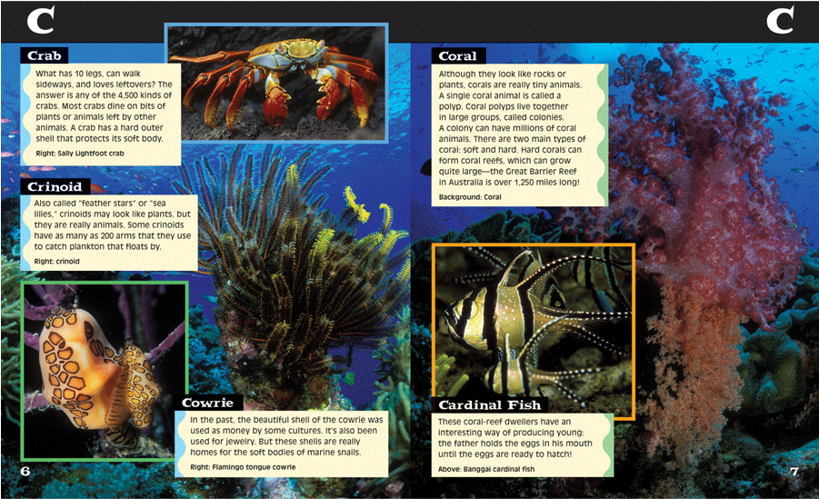 Ocean Life A To Z Book Page - Marine Biology (900x900), Png Download