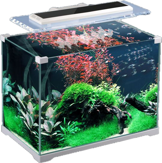 Aquarium Png - Sunsun Atk 350 (558x562), Png Download