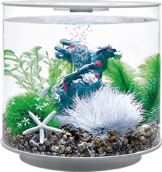 Biorb Tube - Biorb Flower Garden (800x1000), Png Download